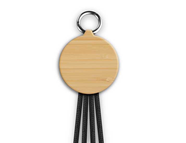 Aurora 3-in-1 Bamboo Charging Cable Back