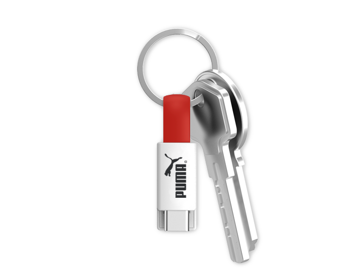 Type-C USB Cable on Keychain