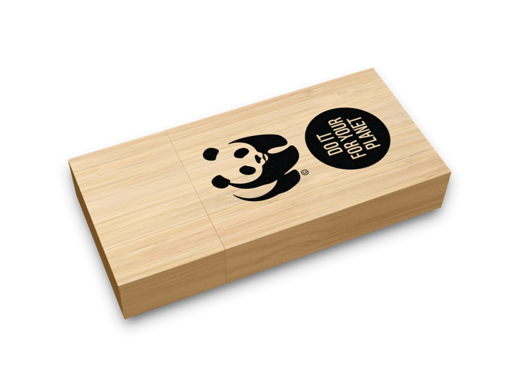 Bamboo USB Flash Drive Perspective