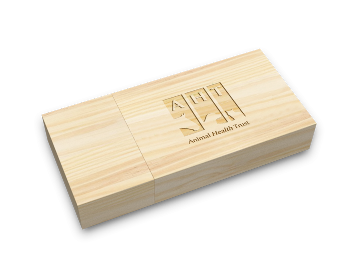 Maple Wood USB Drive Perspective