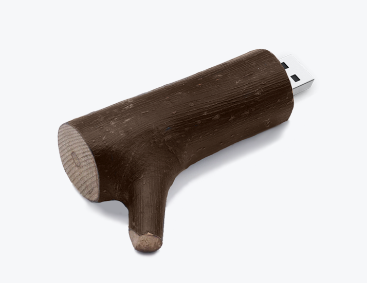 Wooden Twig USB Drive Back